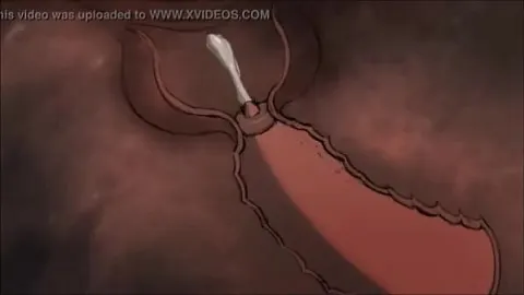性感 做爱 视频 · 13