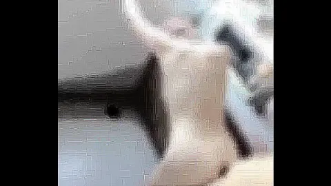 黄色网站第二部