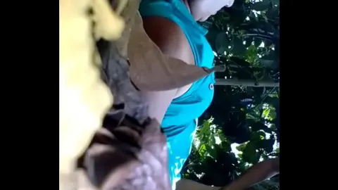 高清 黄 片 · 三