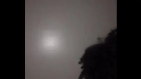 影片 珍珠美人魚