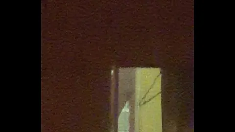 高清 性爱 影片 · 三